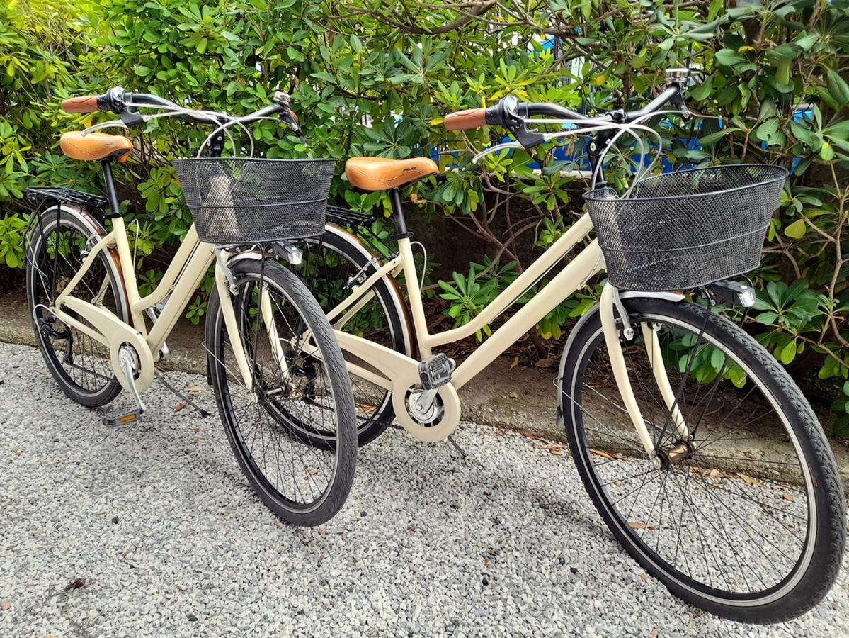 Apt Luminoso, Spazioso Con Aria Condiz E Bici Appartement Viareggio Buitenkant foto